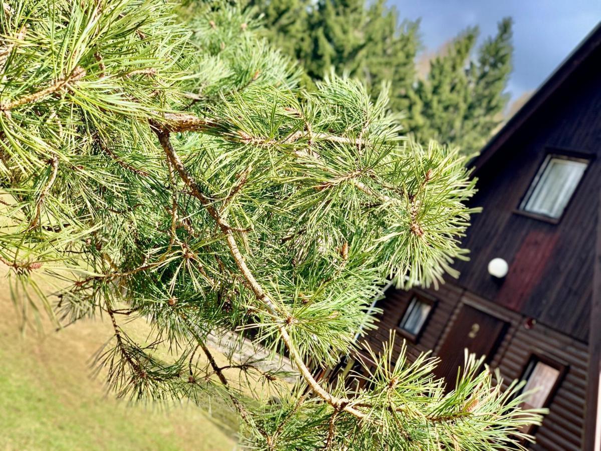 Hotel A Penzion Pegas Vlachovice Luaran gambar